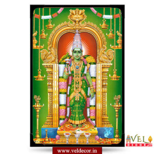 Meenakshi (2)-lamination